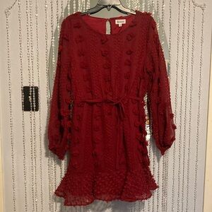 NWOT Party Dress in Cranberry